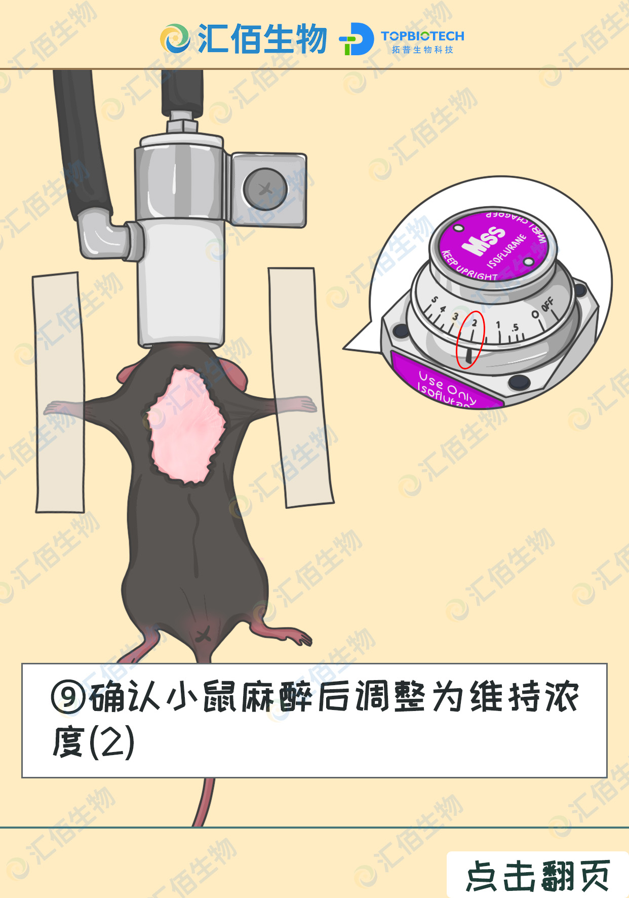 09步骤九;确认小鼠麻醉后调整为维持浓 度(2).jpg